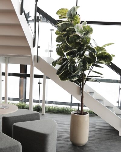 Kunstplanten