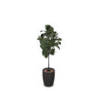 Kunstplanten