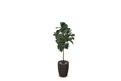 Kunstplanten
