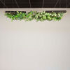 off-the-grid-ceiling