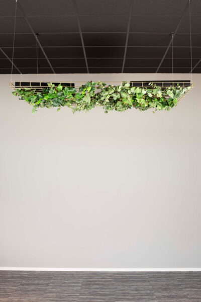 off-the-grid-ceiling