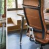 Directiestoel Sedus modern classic