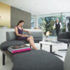 Sedus sofa snake