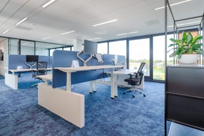 Wang voor Dextro Bureaus
