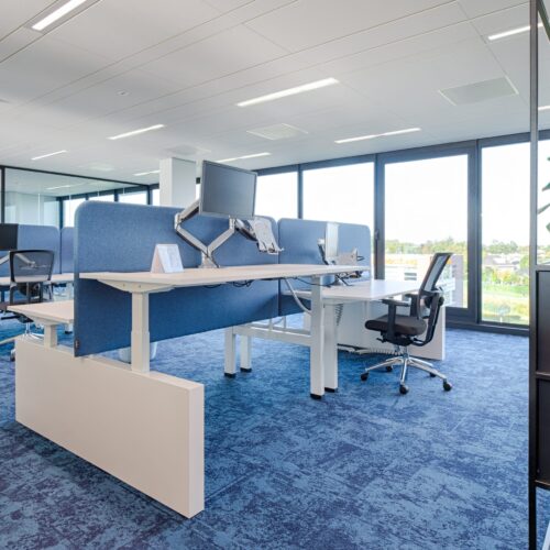 Wang voor Dextro Bureaus