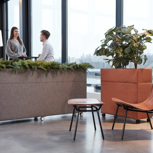 _storage_065750D81E254A3B0D5D60664442C56715283E4FC7A9F4B6E525C121D49032C0_979a4fe20d034f4795501589fef6390e_jpg_media_5f5175a451d24e7aa110204de14af1f0_M_Plant_divider_gotessons Arrow hoge kast